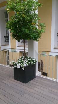 artisan poseur marseille