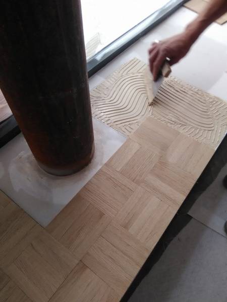 sophie ferjani parquet marseille